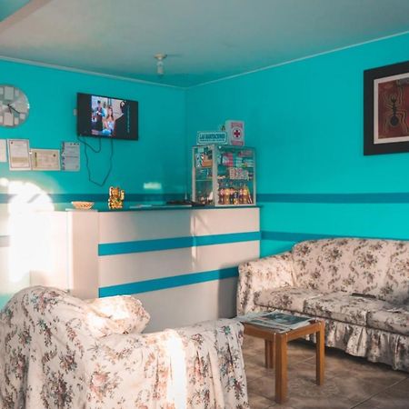 Hospedaje Los Paredones إِكا المظهر الخارجي الصورة